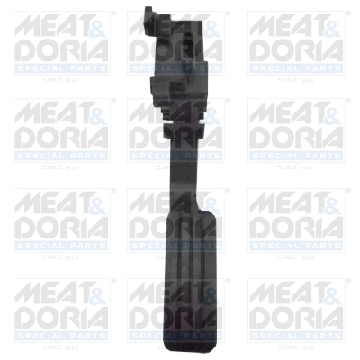 Accelerator Pedal Unit